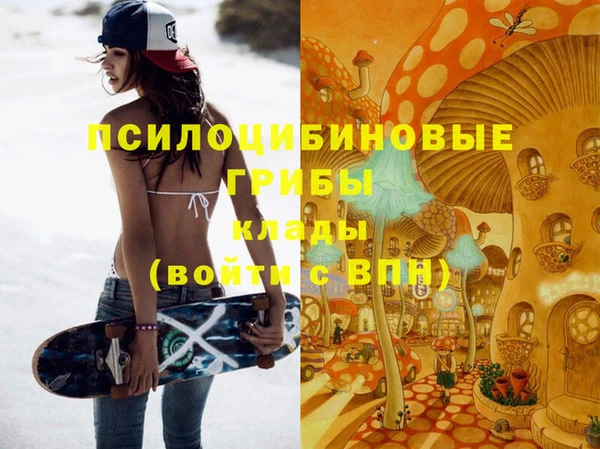 тгк Гусь-Хрустальный