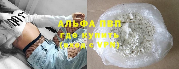 ГАЛЛЮЦИНОГЕННЫЕ ГРИБЫ Тавда